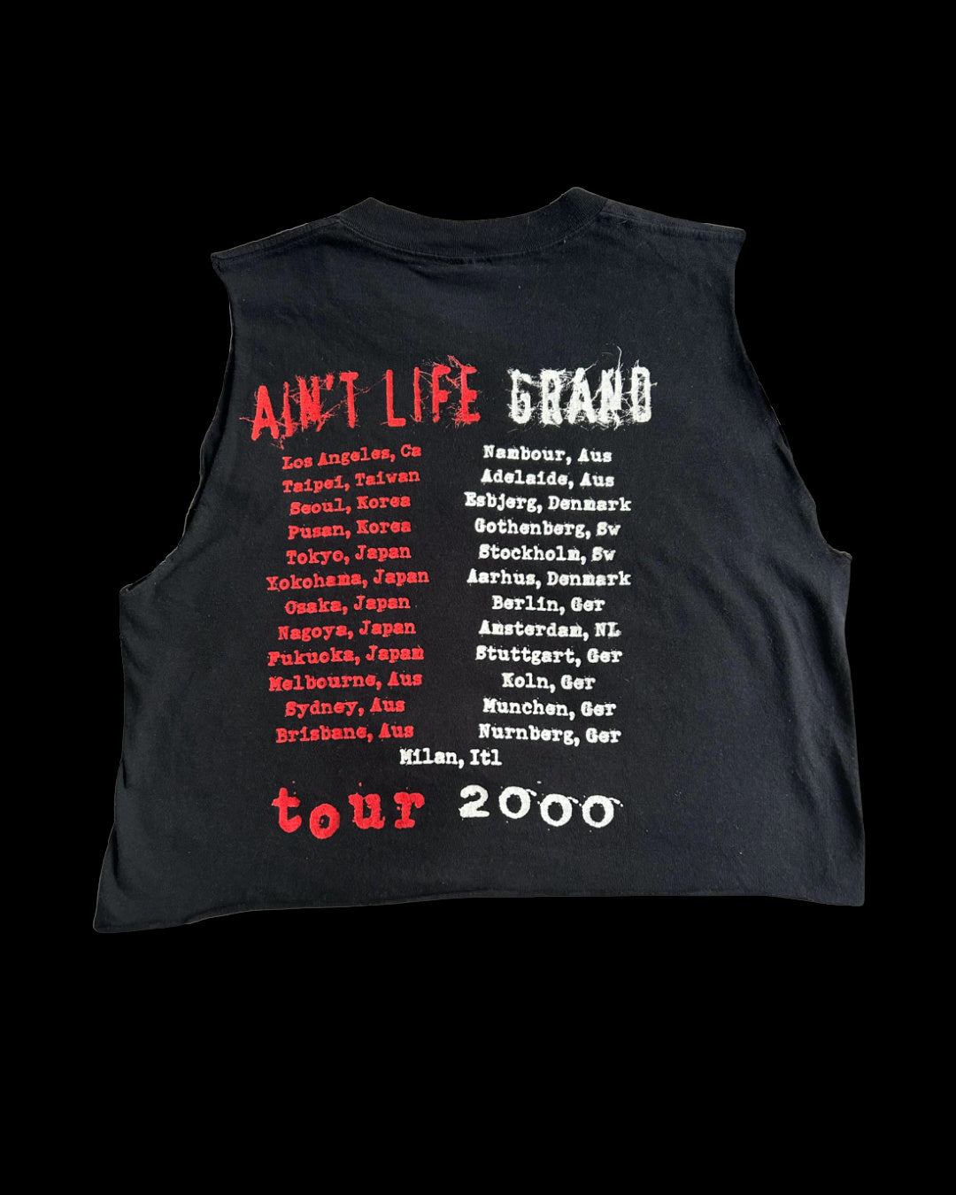 Slash's Snakepit 2000 Ain't Life Grand cropped tour tee